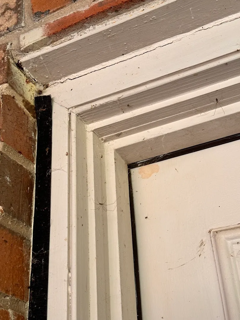 EcoShield Pest Solutions in Fort Worth, TX — business photo 5