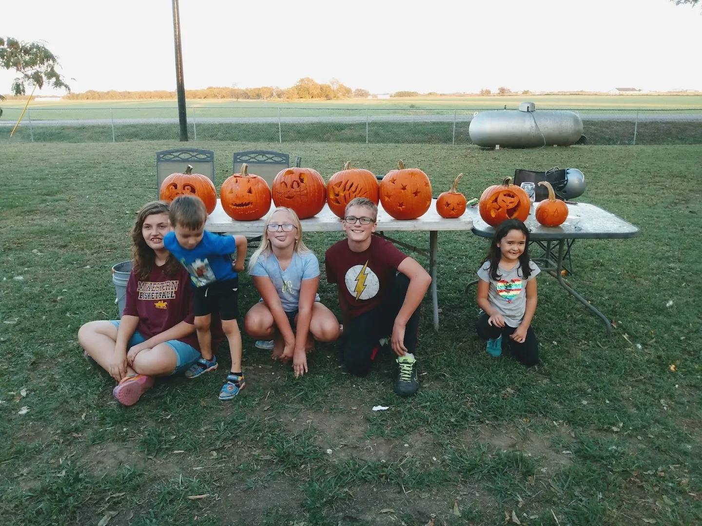 Slagle Termite & Pest Control — pest control in Sherman, GRAYSON County, TX