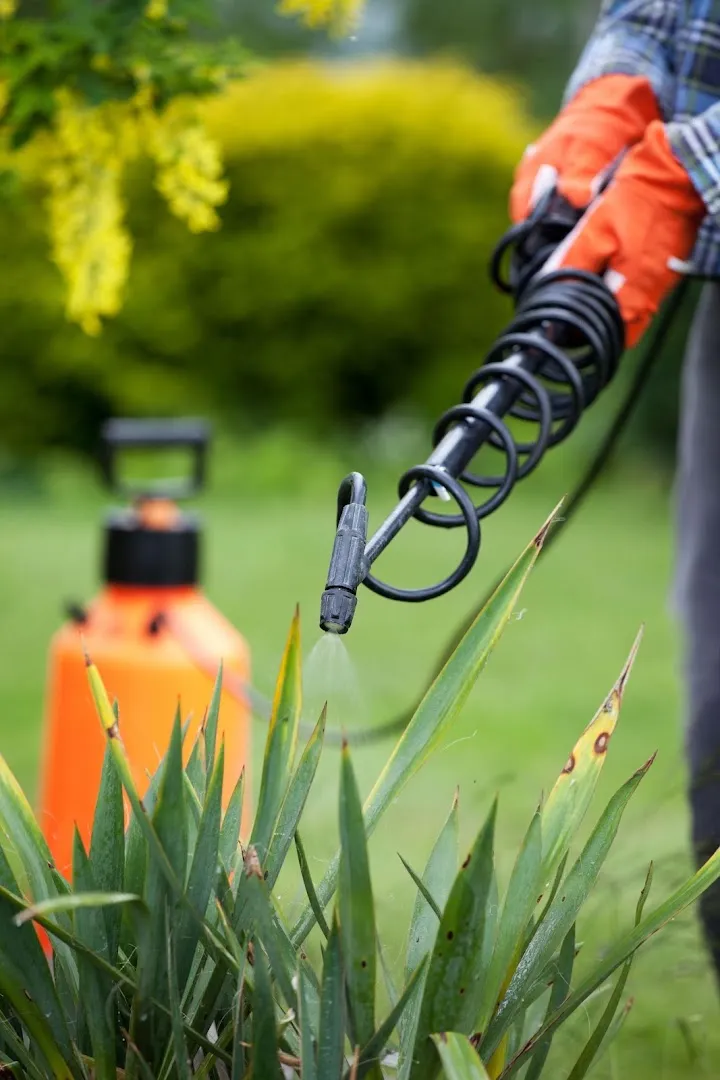 Spencer Pest & Weed Control in Colorado City, TX — business photo 2