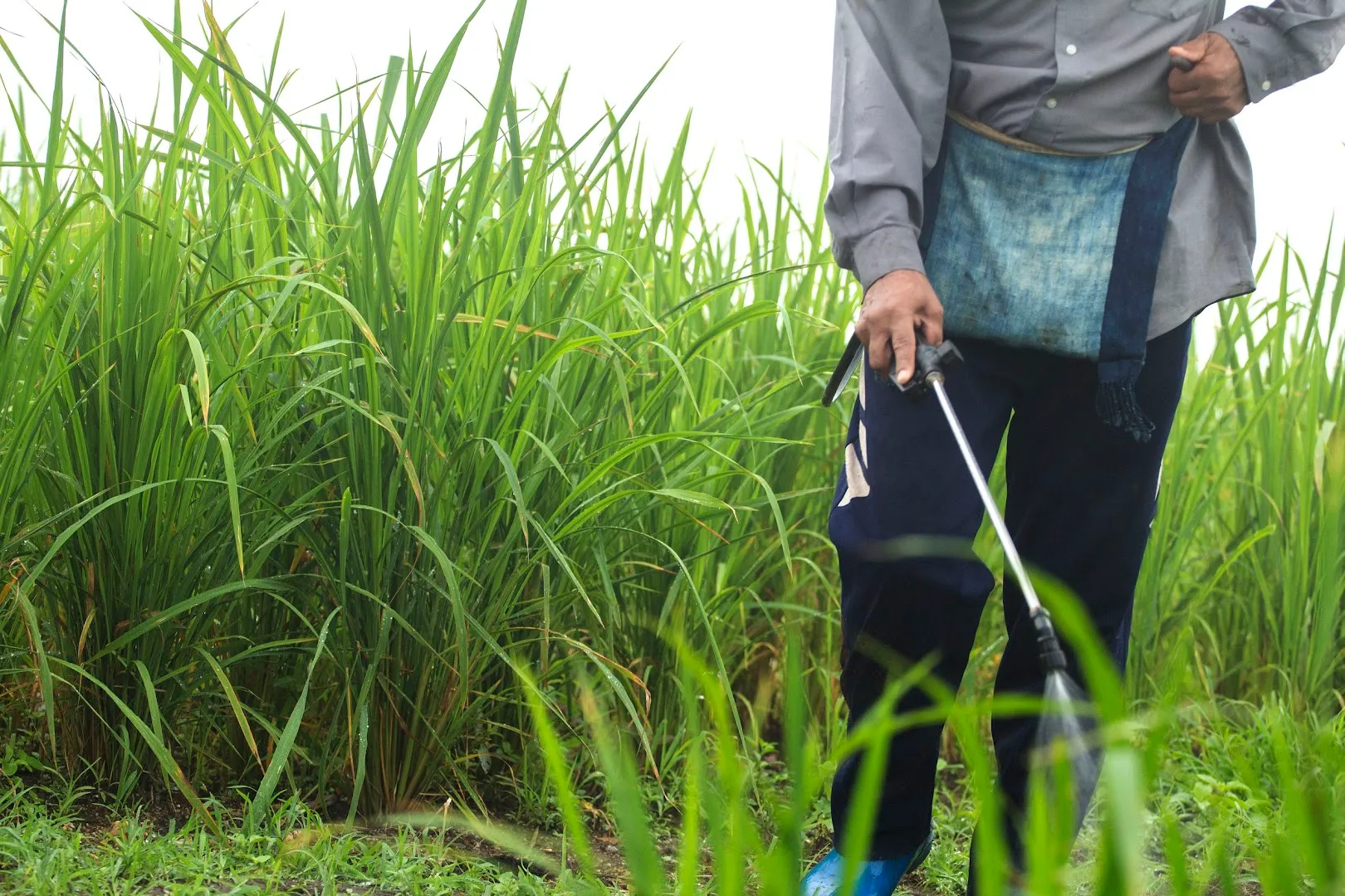 Spencer Pest & Weed Control in Colorado City, TX — business photo 4