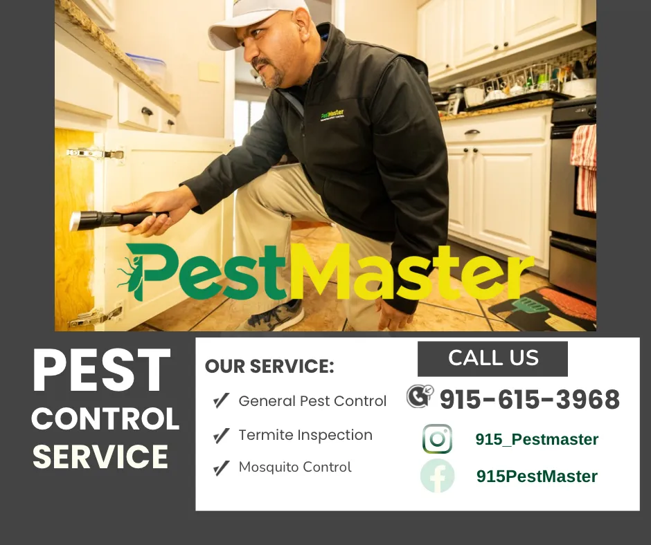 Pestmaster of El Paso in El Paso, TX — business photo 3