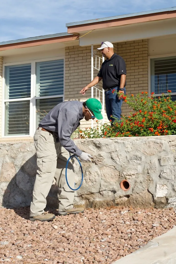 Pestmaster of El Paso in El Paso, TX — business photo 5