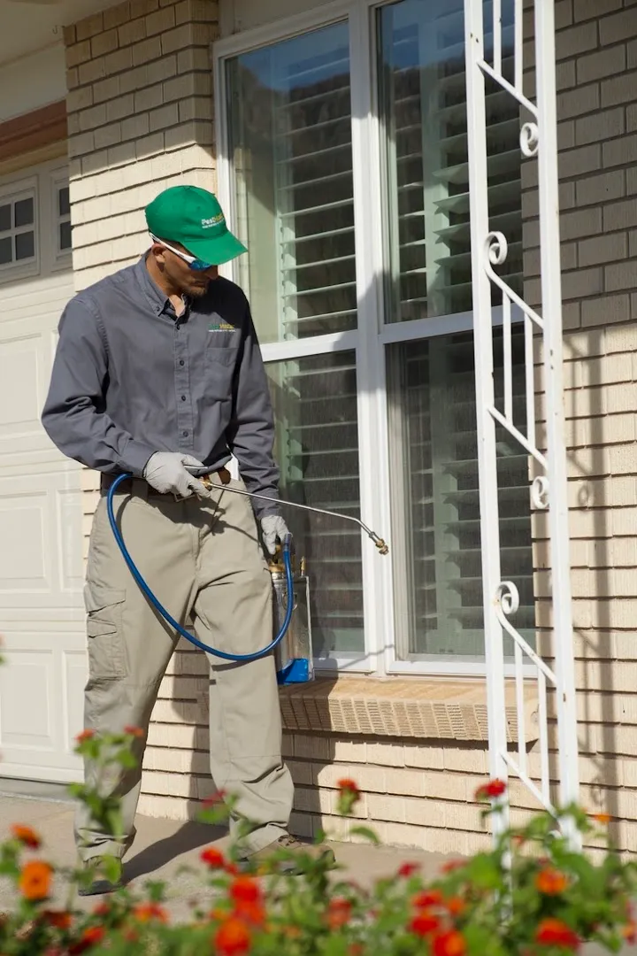 Pestmaster of El Paso in El Paso, TX — business photo 6
