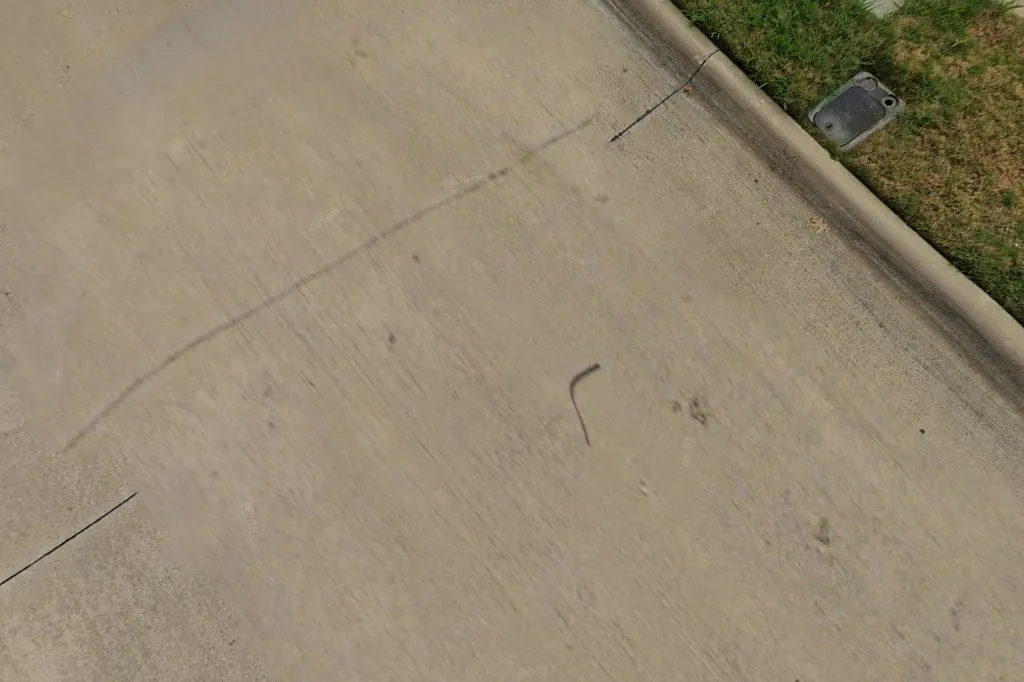 Southern Quality Organic Pest Control in Dallas, TX — business photo 6