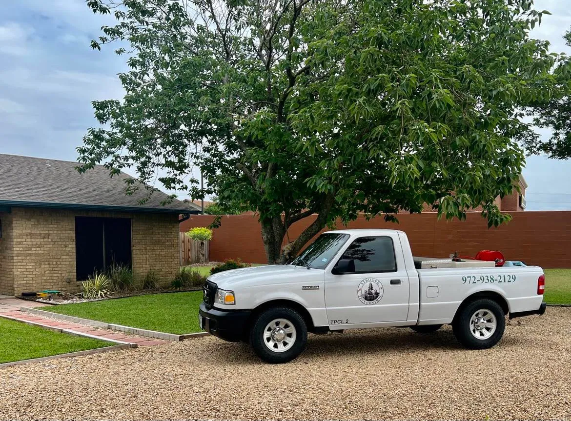 Stroope Pest Control — pest control in Waxahachie, ELLIS County, TX