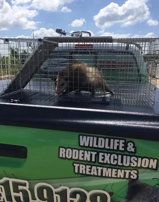 Summers Pest Control in Denton, TX — business photo 4