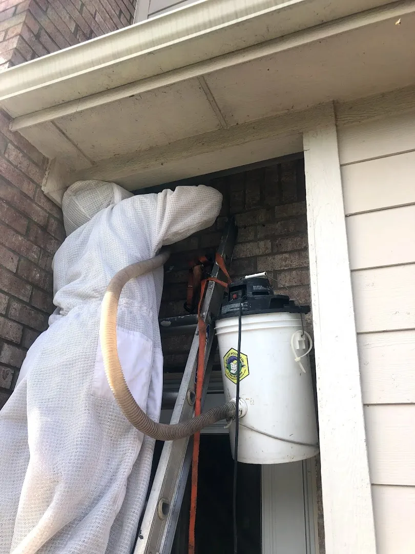 Summers Pest Control in Denton, TX — business photo 5