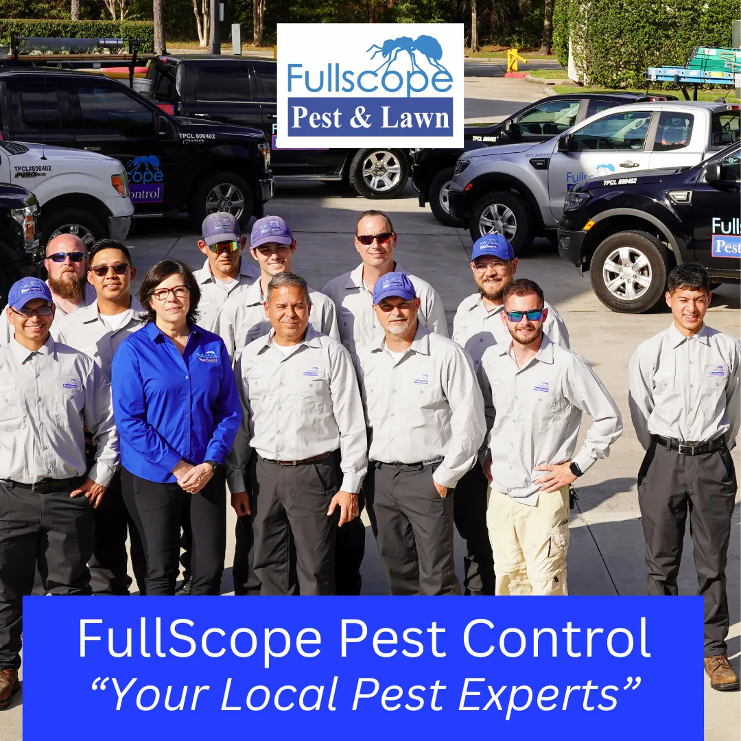 Pest Control Conroe - Full Scope in Conroe, TX — business photo 2