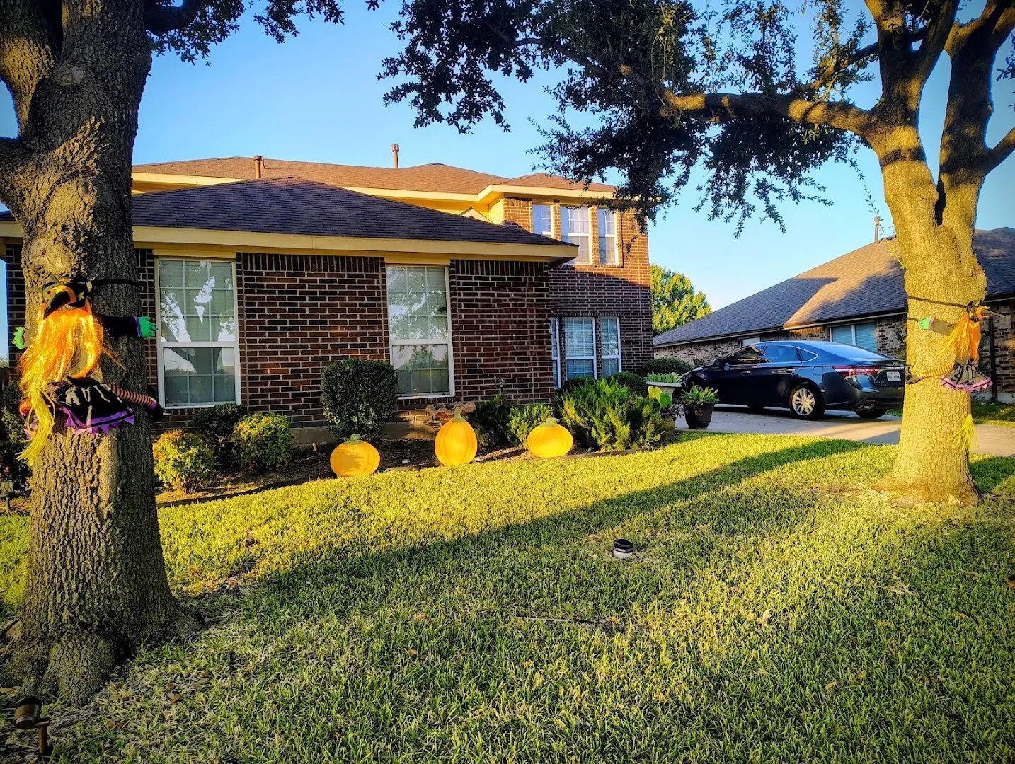 Sure Shot Pest Management in Baird, TX — business photo 4