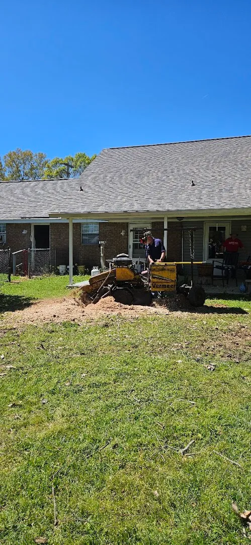 T&D Professional Tree Removal in Hondo, TX — business photo 2