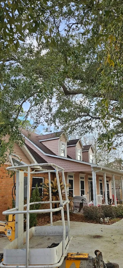 T&D Professional Tree Removal in Hondo, TX — business photo 4