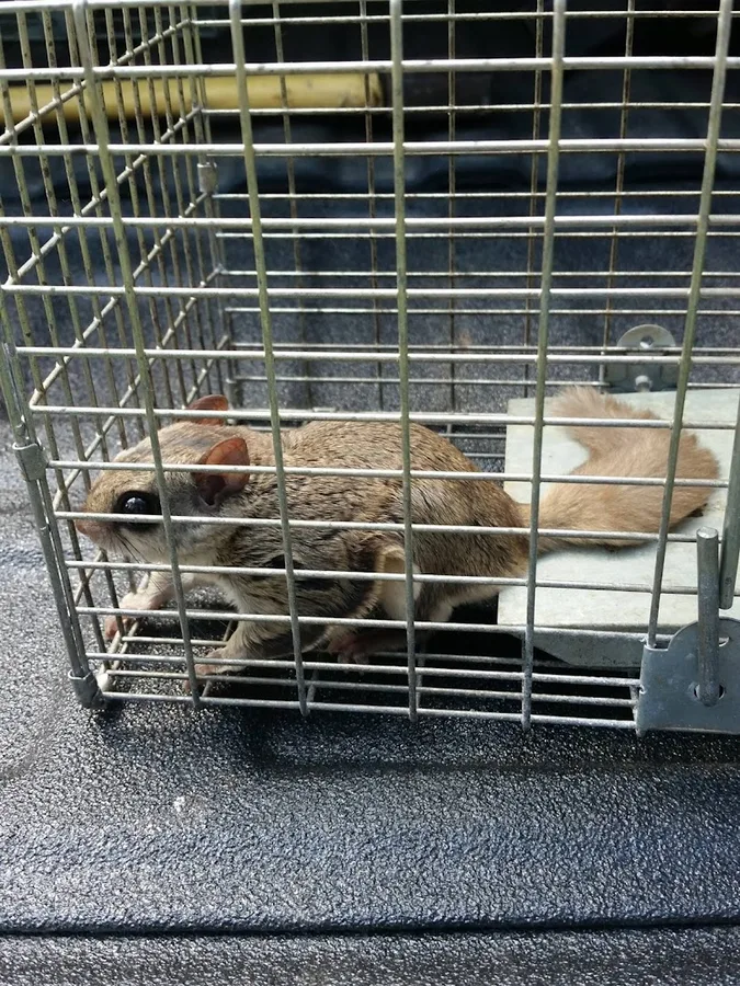 Target Pest Control — pest control in El Paso, EL PASO County, TX