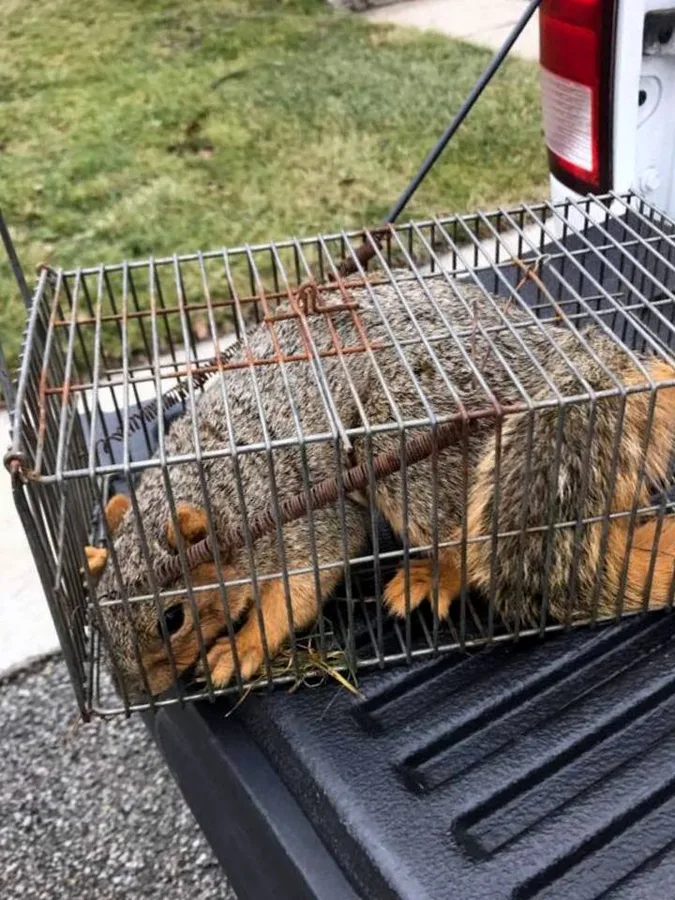 Target Pest Control in El Paso, TX — business photo 3