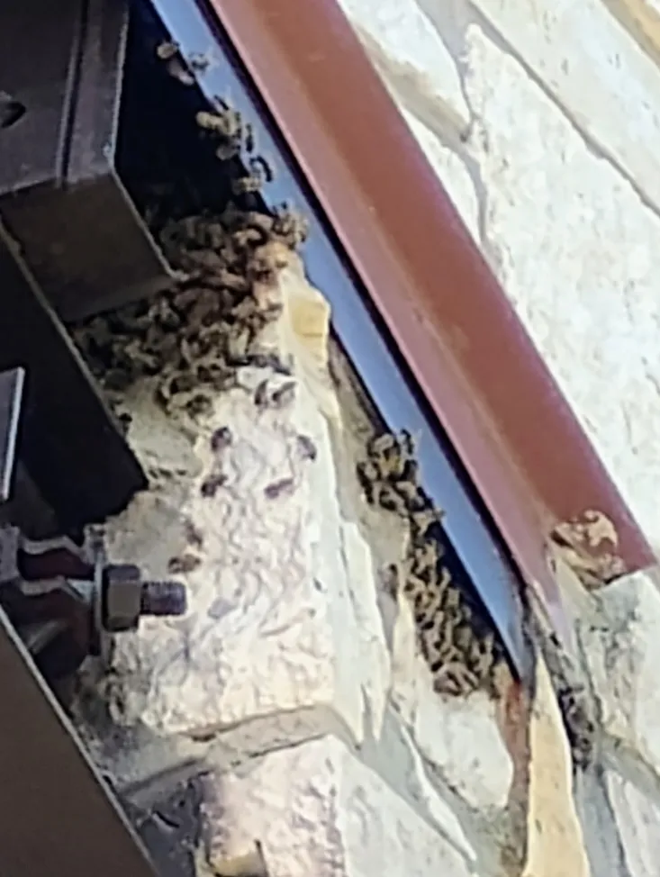 Target Pest Control in Edinburg, TX — business photo 2