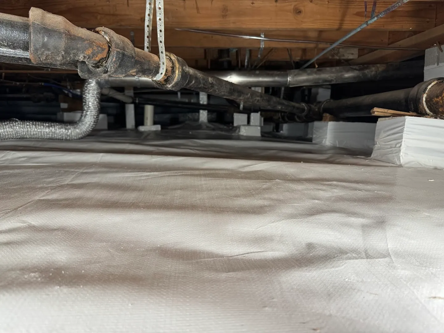 Trusted Termite and Pest Solutions LLC — pest control in El Paso, EL PASO County, TX