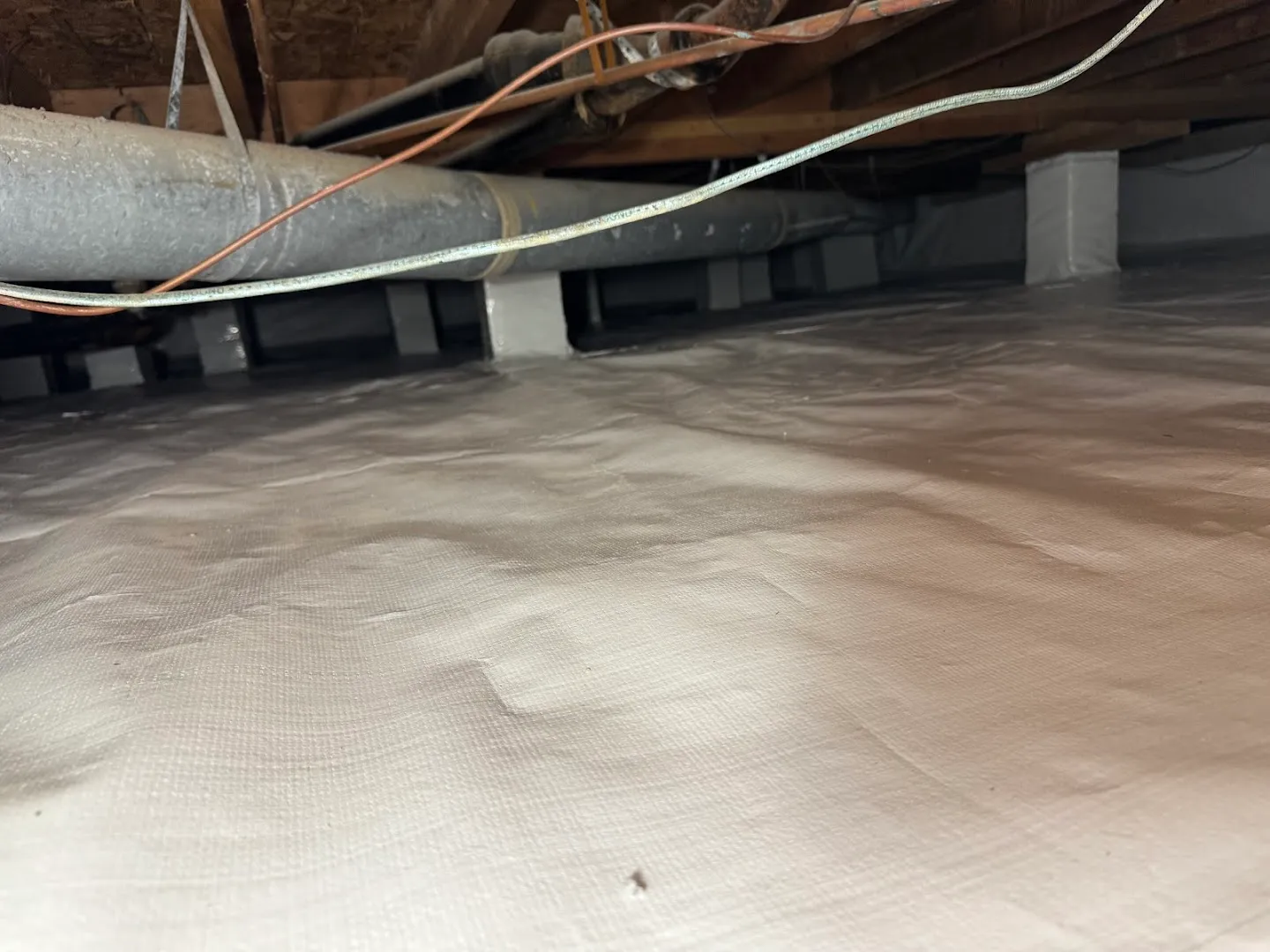 Trusted Termite and Pest Solutions LLC in El Paso, TX — business photo 6