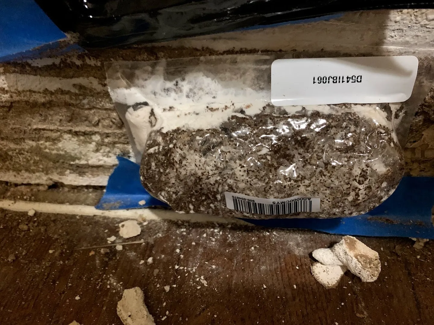 Sandhoff Services Pest and Termite in Waxahachie, TX — business photo 5