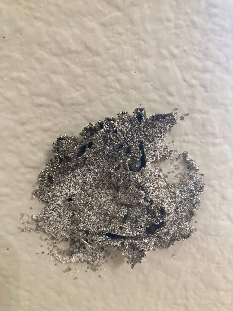 Termite King Pest Control in Fort Worth, TX — business photo 3