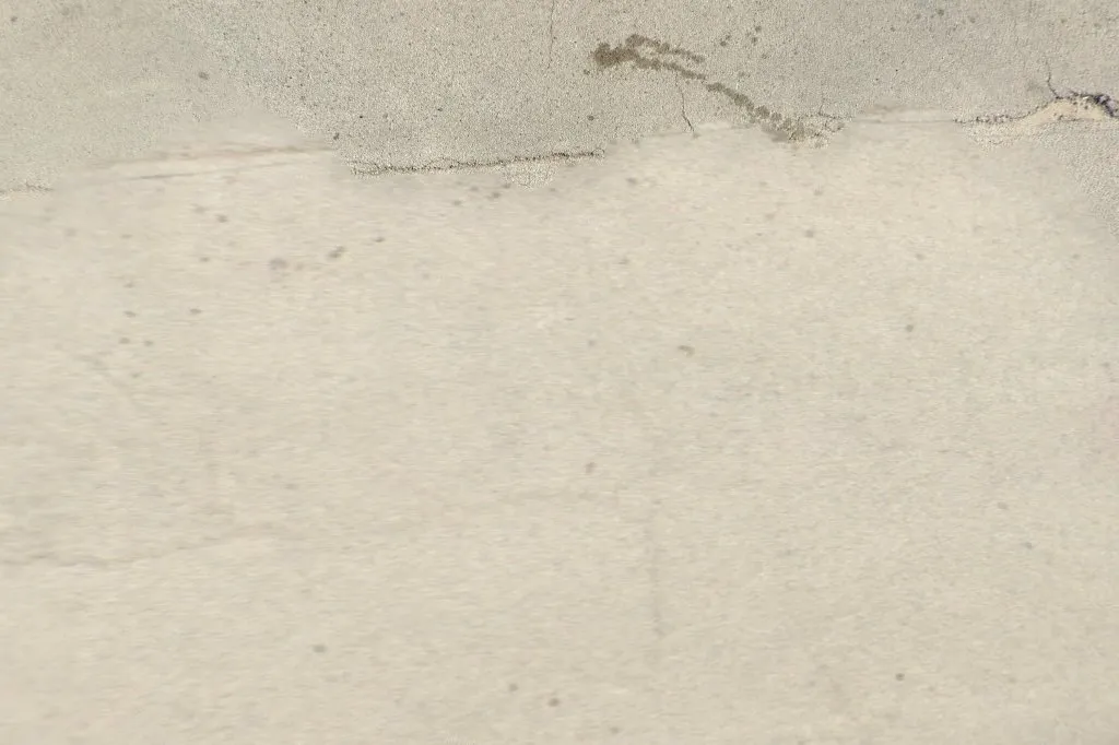 Texas-American Exterminating in Houston, TX — business photo 2