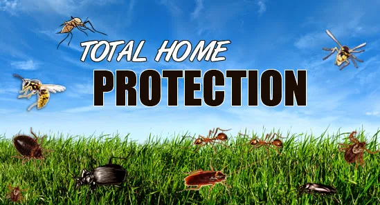 Home Star Lawn and Pest Control in Gainesville, TX — business photo 2