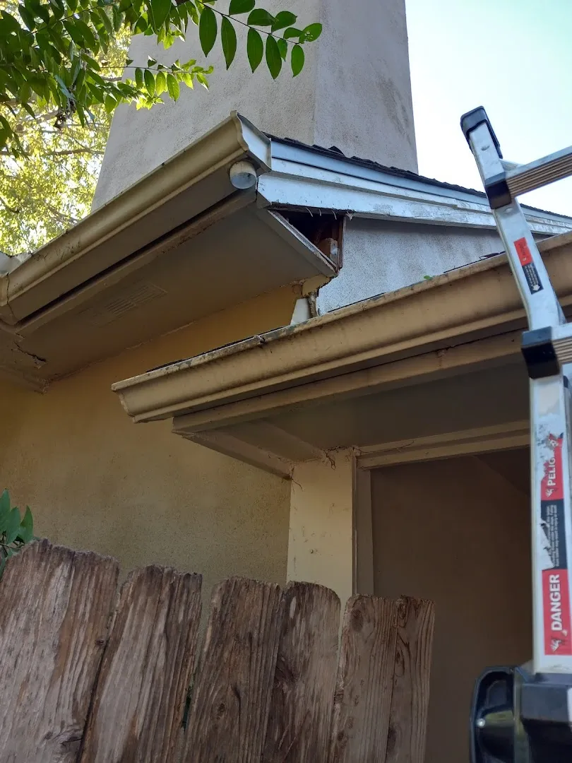 TexStar Pest Control in San Antonio, TX — business photo 5