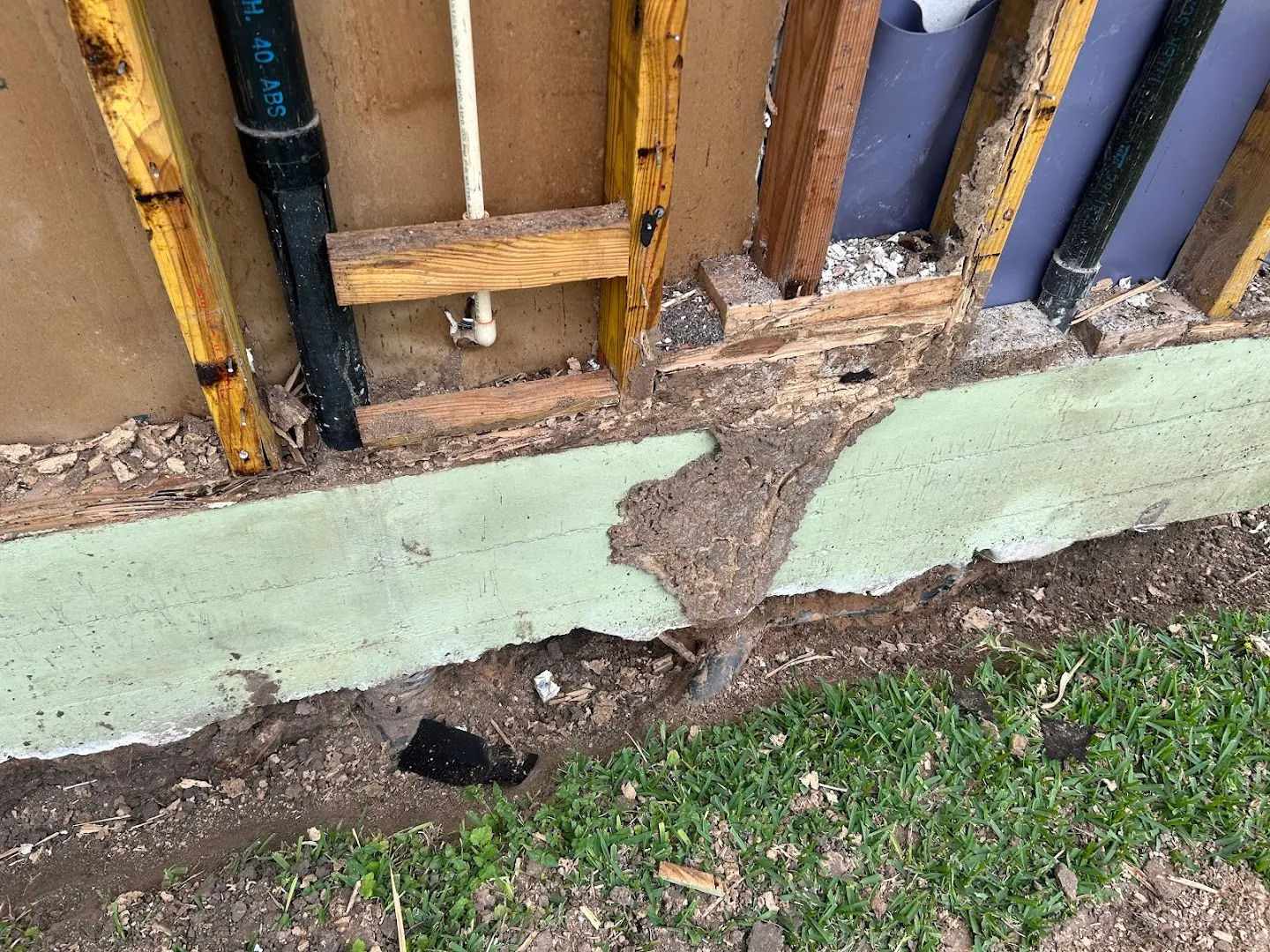 Texas State Pest Control in Galveston, TX — business photo 5