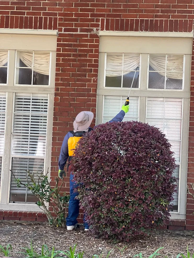 Texas State Pest Control in Galveston, TX — business photo 6