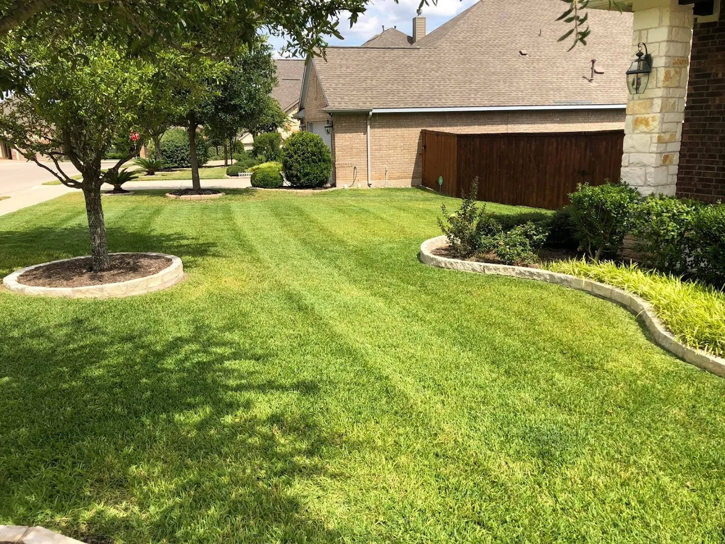 Dr. Tex Lawn & Pest in Austin, TX — business photo 3