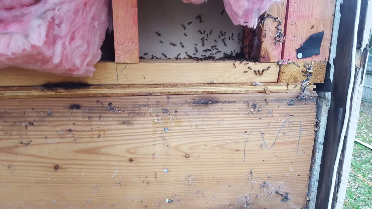 TNT Termite & Pest Control, Inc. in Houston, TX — business photo 3