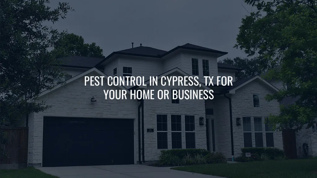 TNT Home & Commercial Services — pest control in Houston, HARRIS County, TX