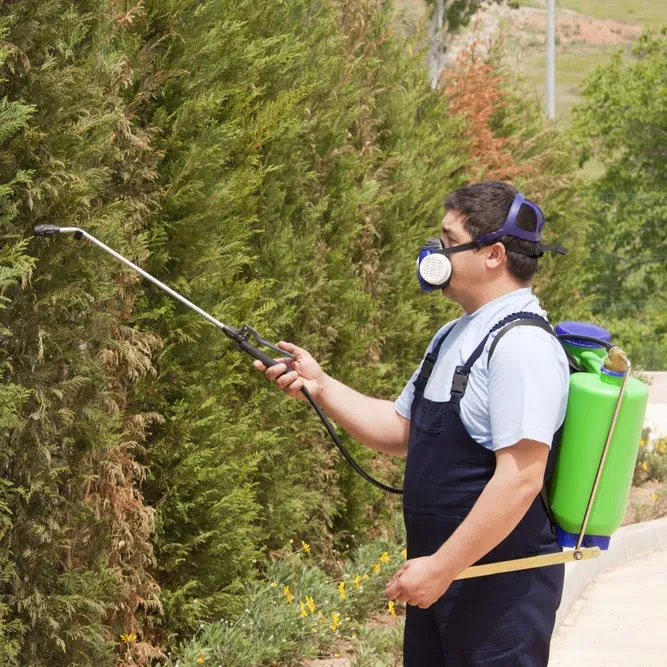 Town & Country Pest Control Inc. in Corpus Christi, TX — business photo 3