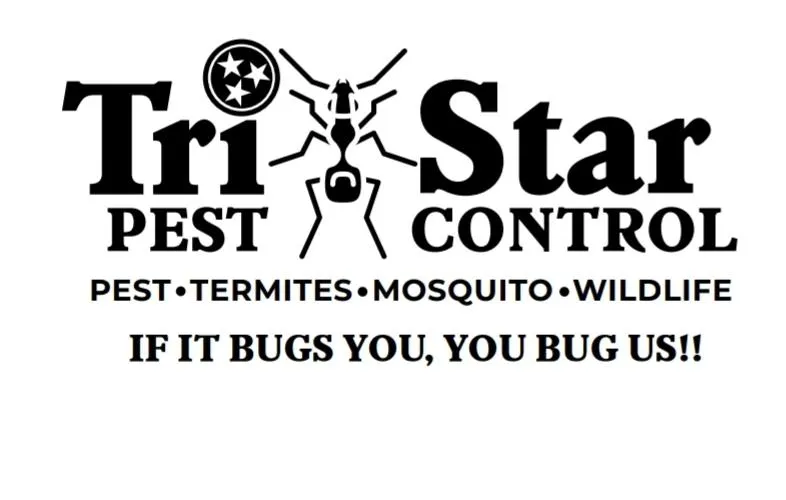 Tri Star Pest & Wildlife in Edinburg, TX — business photo 4