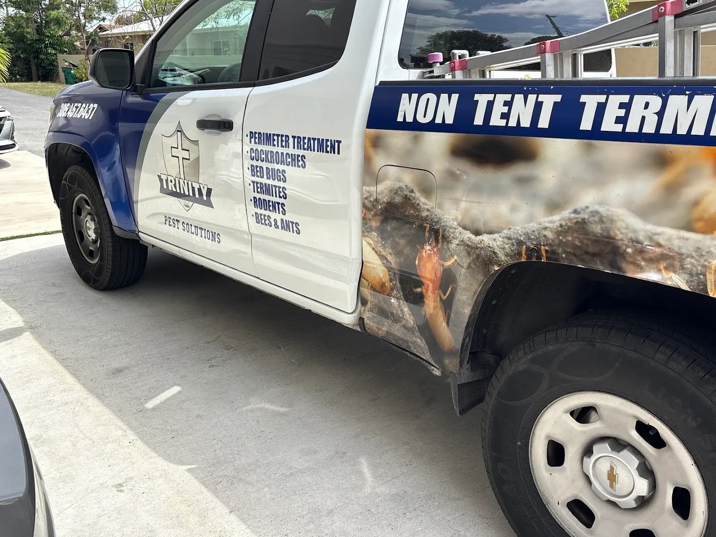 Trinity Pest Solutions & Termite in Edinburg, TX — business photo 4