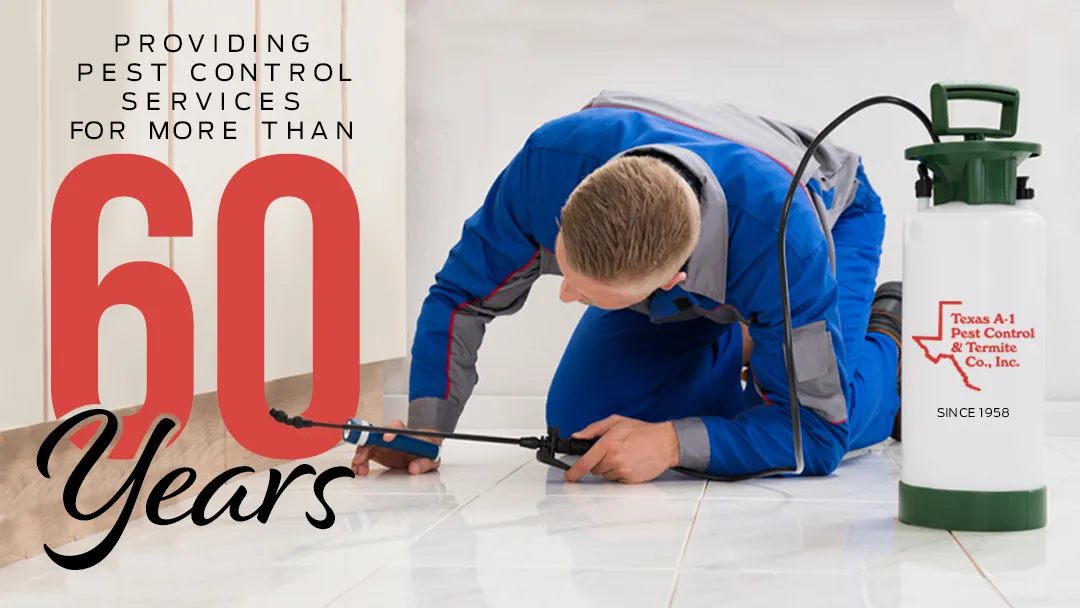 Texas A-1 Pest Control and Termite Co in Houston, TX — business photo 2