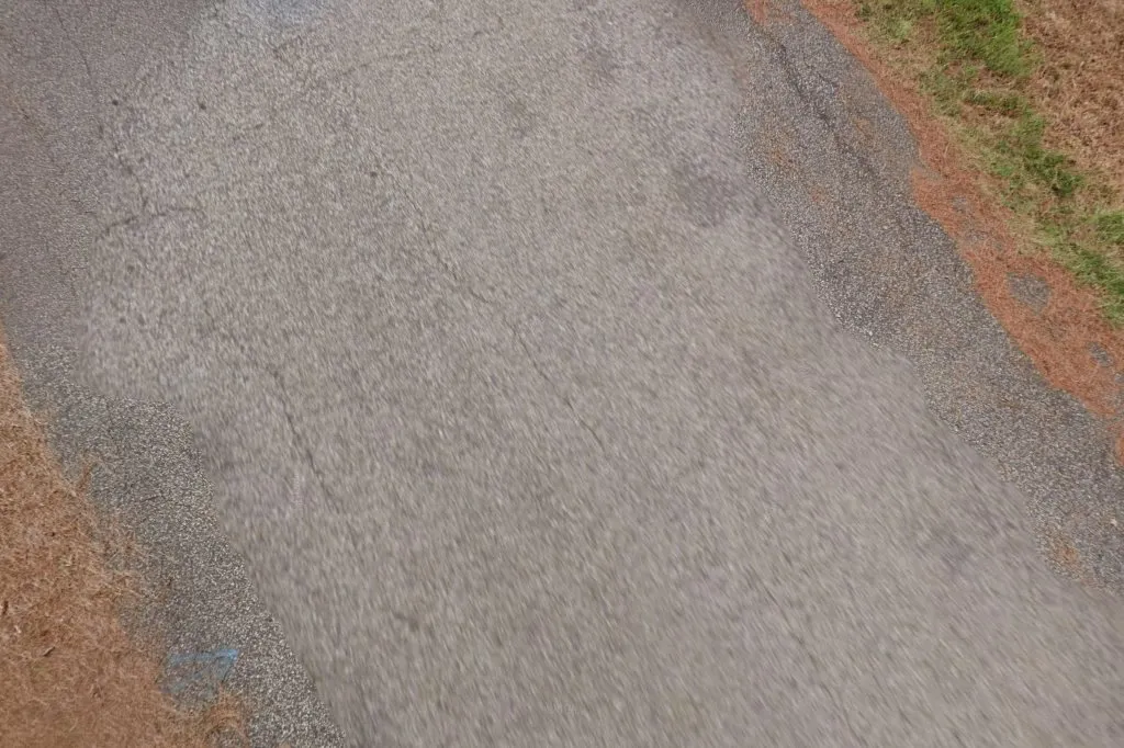 Piney Woods Pest Control LLC — pest control in Quitman, WOOD County, TX