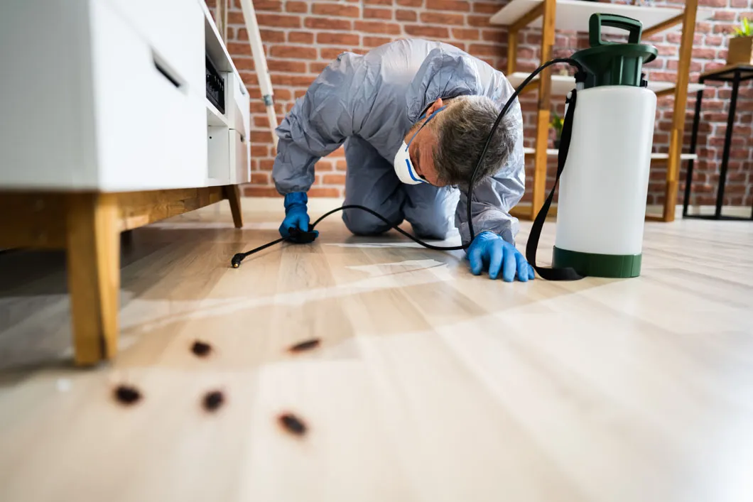 Villalobos Pest Control in El Paso, TX — business photo 4