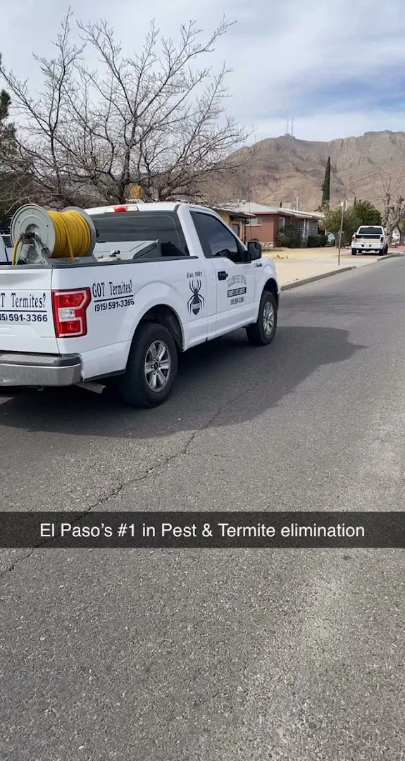 Villalobos Pest Control in El Paso, TX — business photo 5