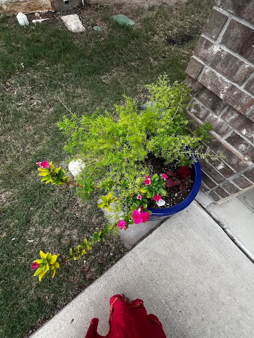 Waterloo Pest Management in Austin, TX — business photo 3