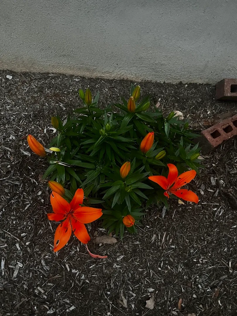 Waterloo Pest Management in Austin, TX — business photo 4