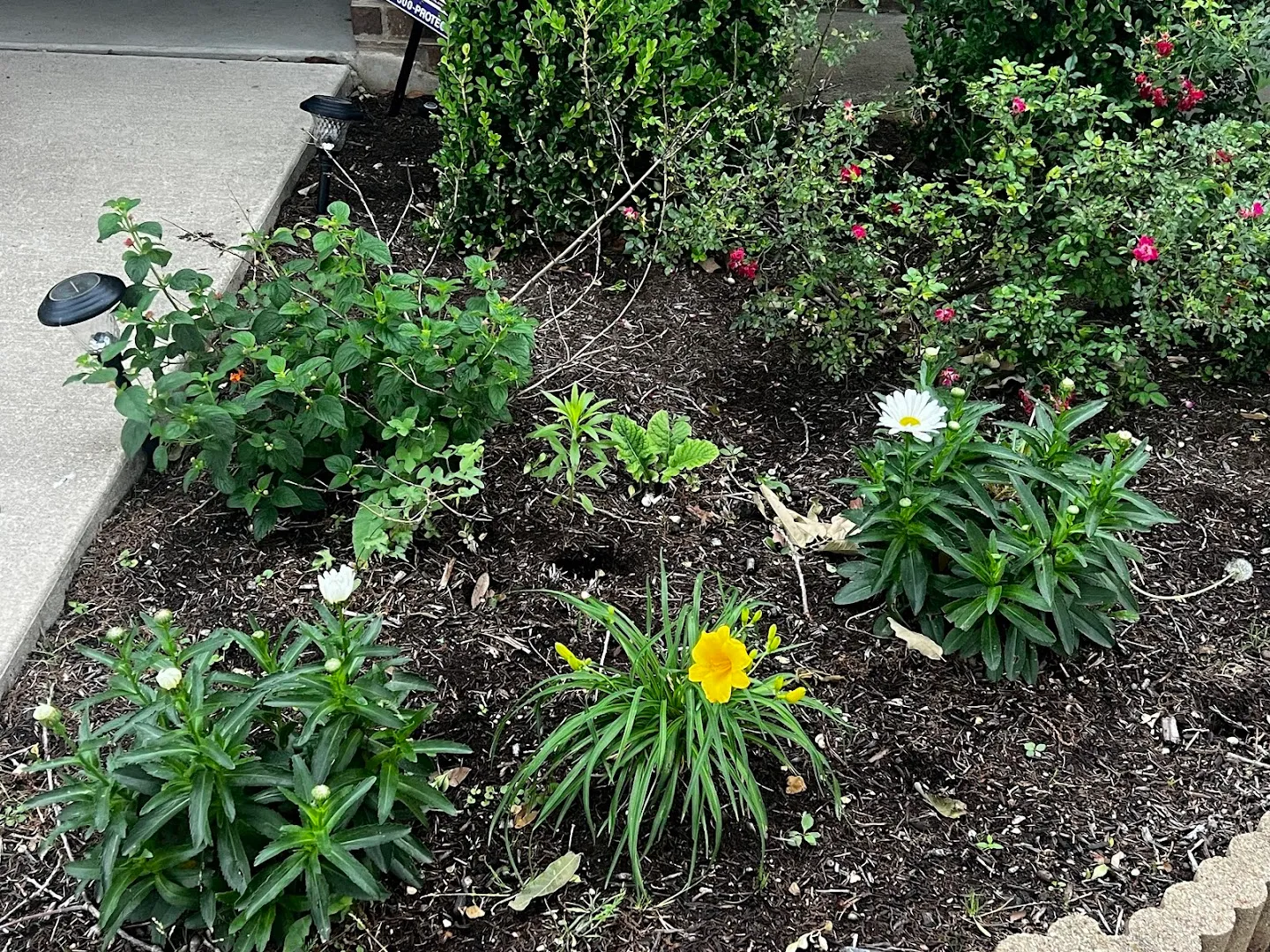 Waterloo Pest Management in Austin, TX — business photo 5