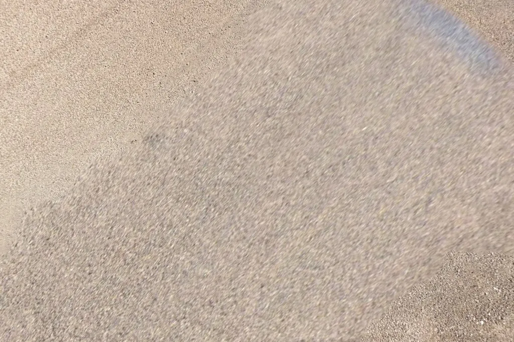 West Texas Pest Management in Alpine, TX — business photo 6