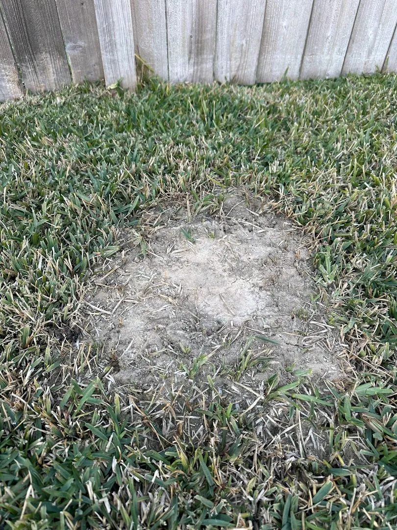 White Knight Pest Control in San Marcos, TX — business photo 3