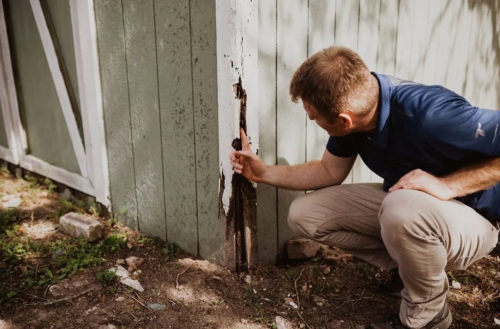 Witten Pest Control in San Antonio, TX — business photo 5