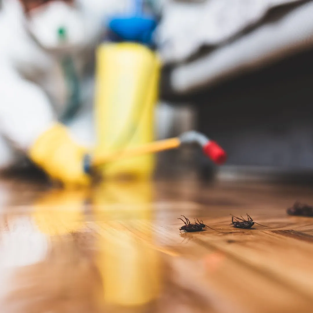 Witten Pest Control in San Antonio, TX — business photo 6
