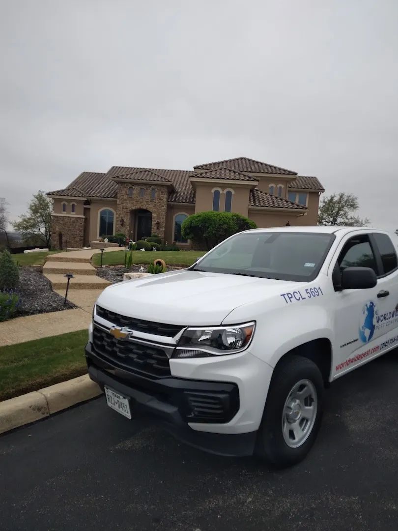 Worldwide Pest Control Inc — pest control in San Antonio, BEXAR County, TX