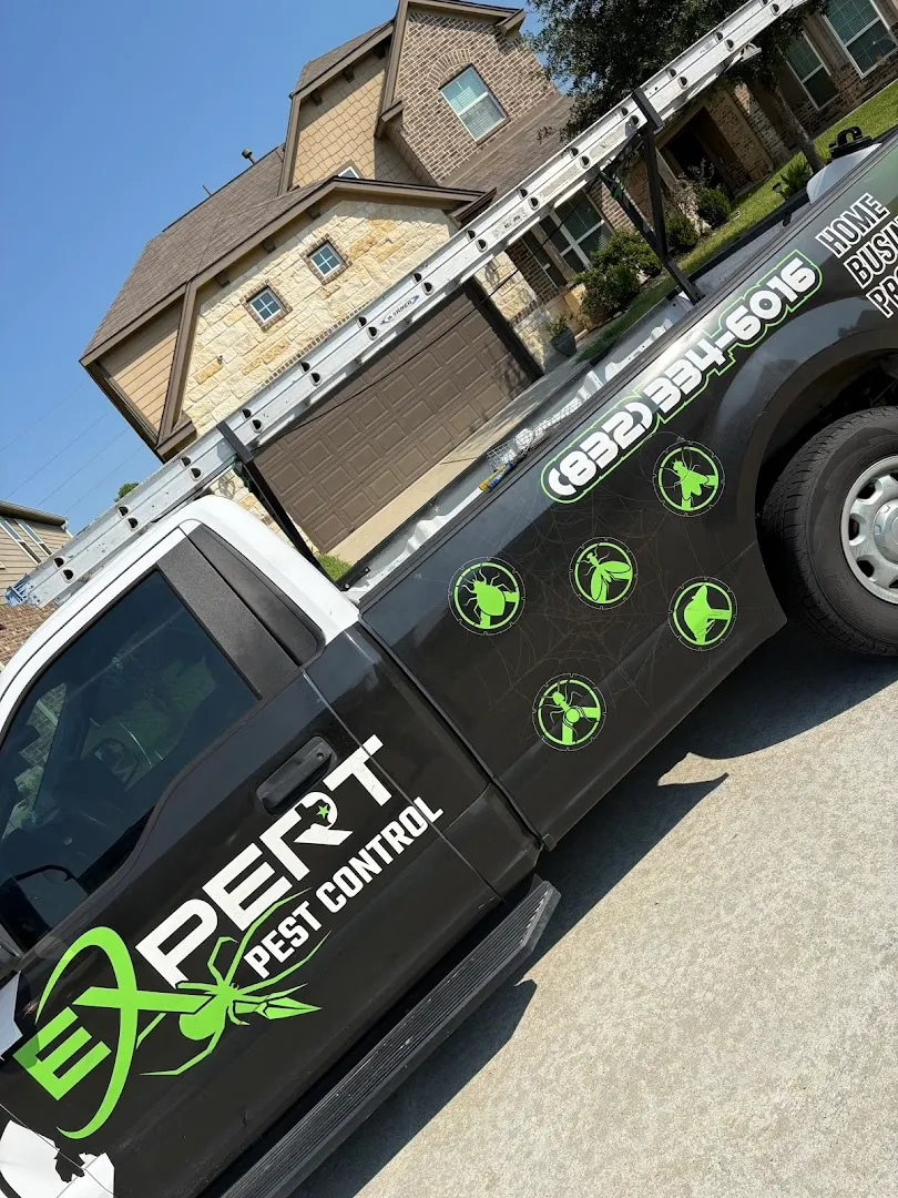 Expert Pest Control — pest control in Houston, HARRIS County, TX