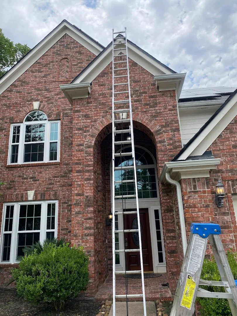 Expert Pest Control in Houston, TX — business photo 2