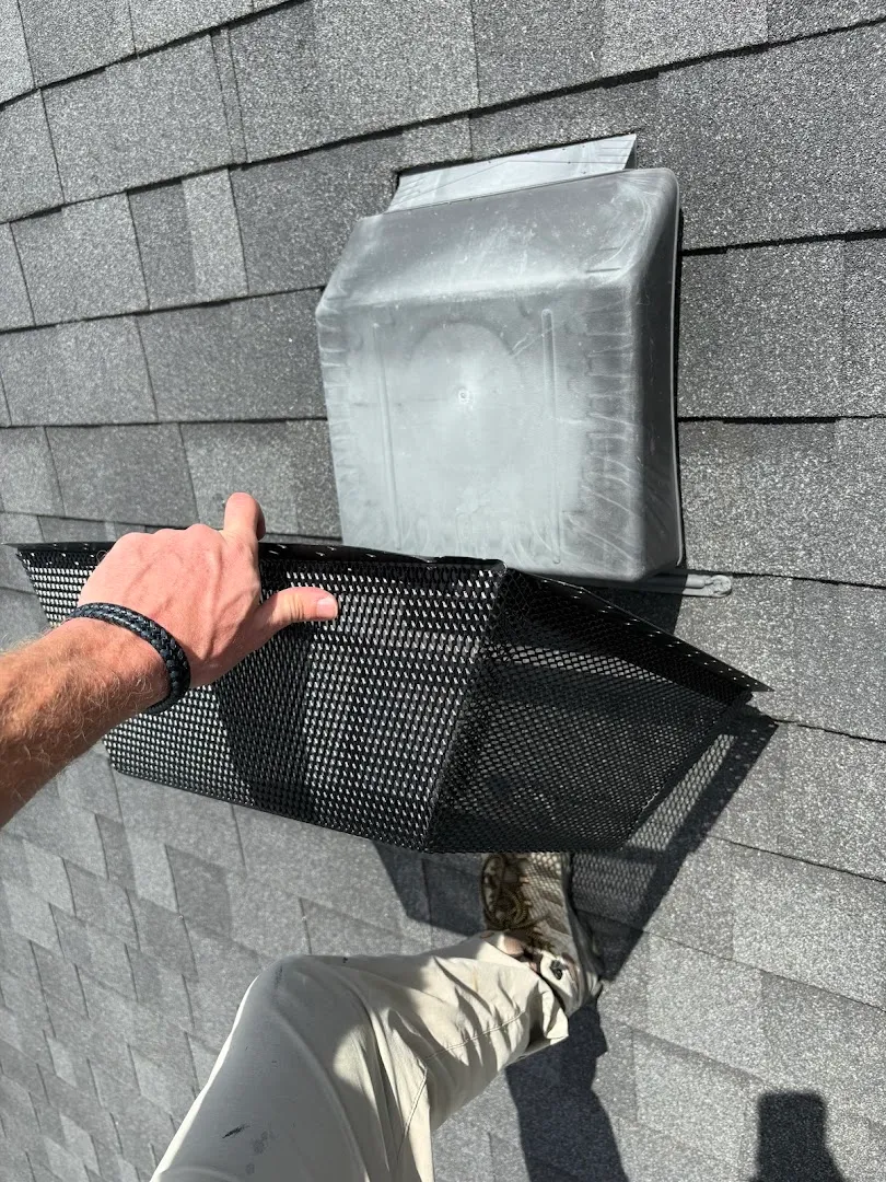 Expert Pest Control in Houston, TX — business photo 3