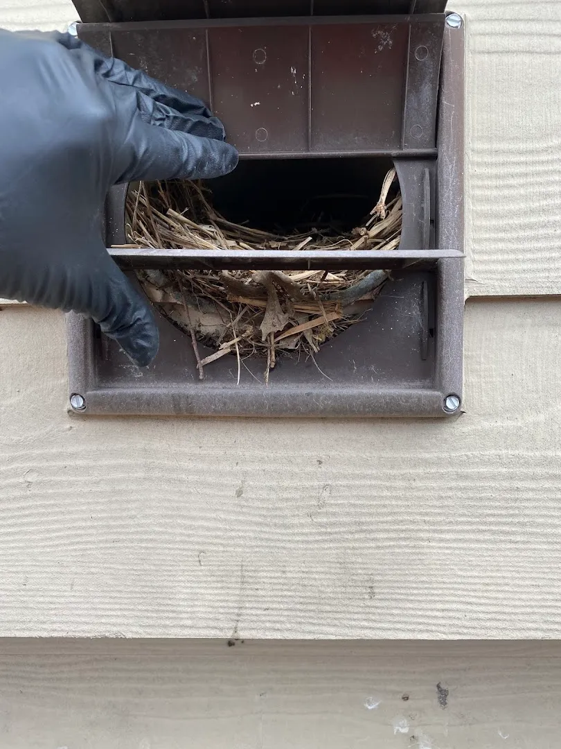 Expert Pest Control in Houston, TX — business photo 5