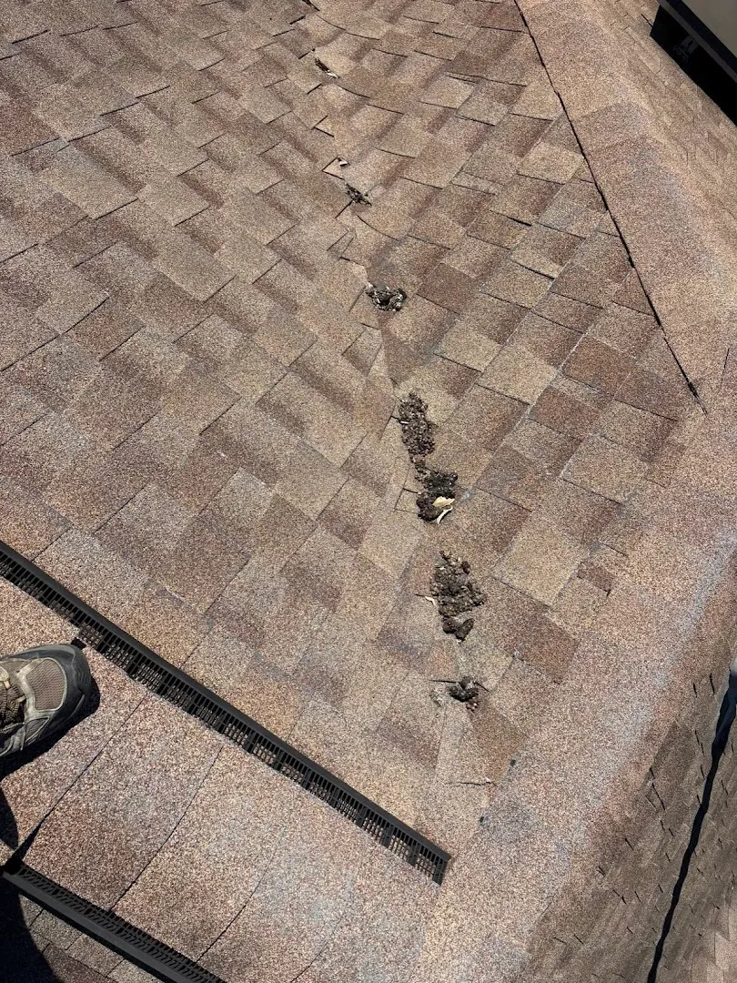 Expert Pest Control in Houston, TX — business photo 6